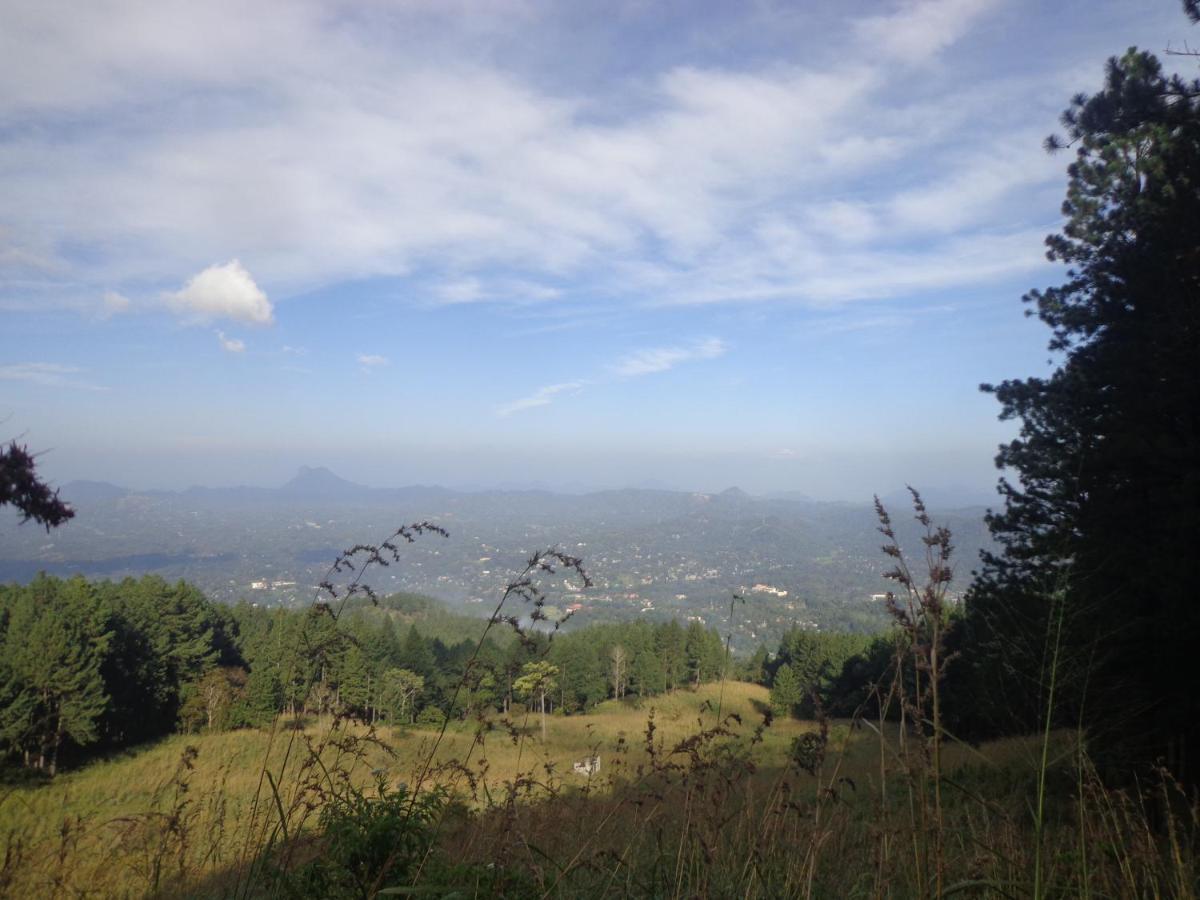 Nisha Homestay Inn Peradeniya Eksteriør bilde